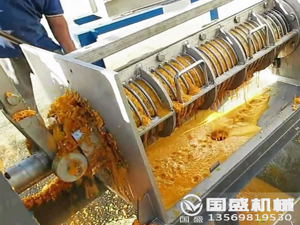 木瓜榨汁机 木瓜榨汁机